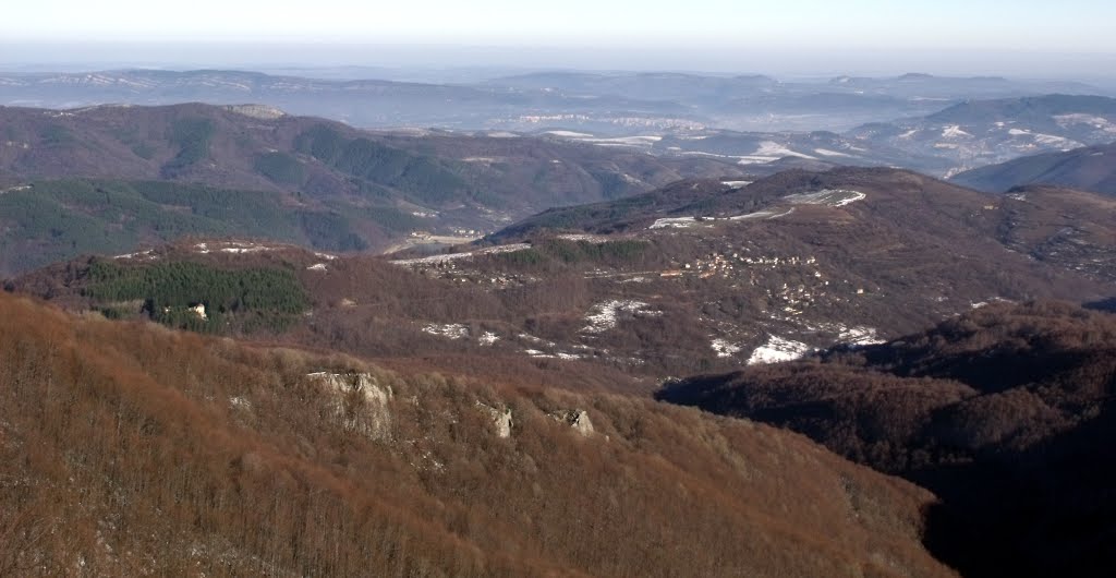 Узана