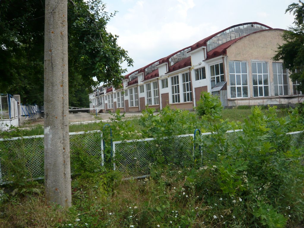 TMT ŞANDOR PETYOFİ 2008