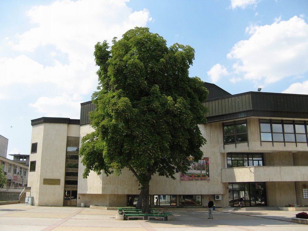 Primaria Razgrad