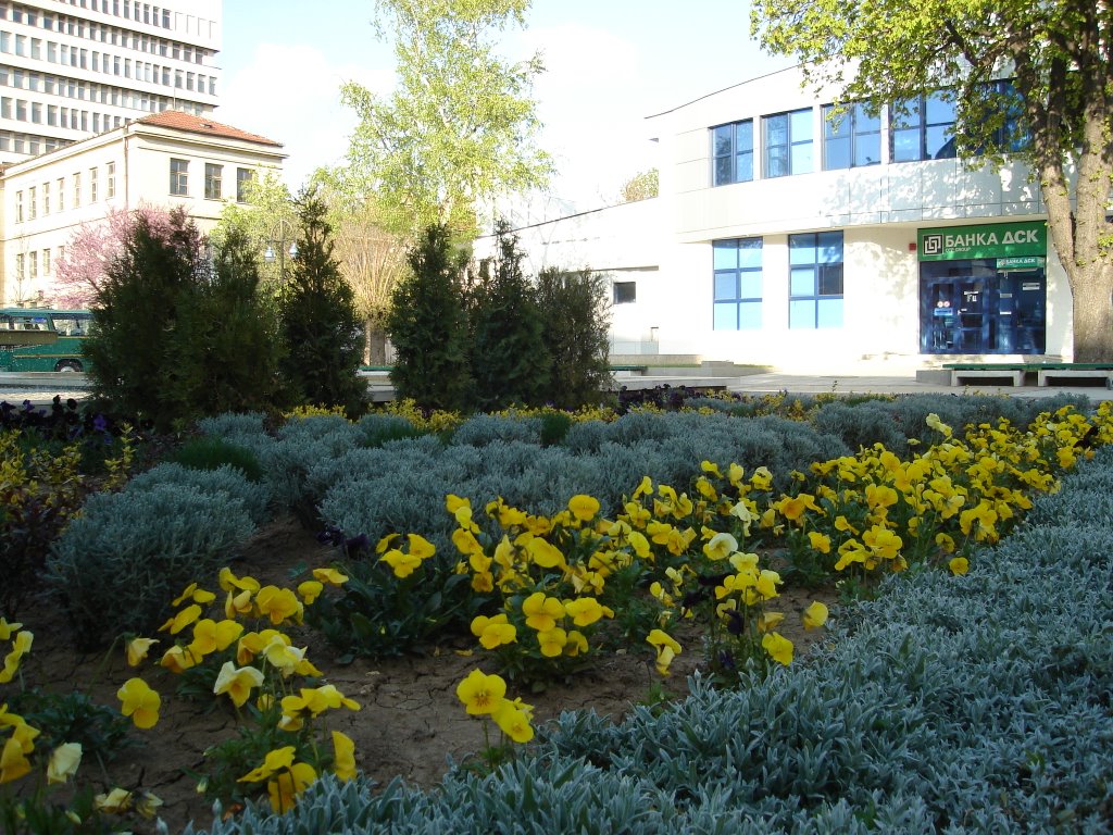 Razgrad Center