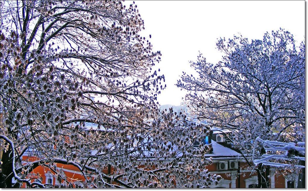 01.01.2011 - Good Morning New Year ! :)