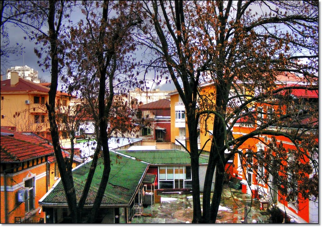 View from my window