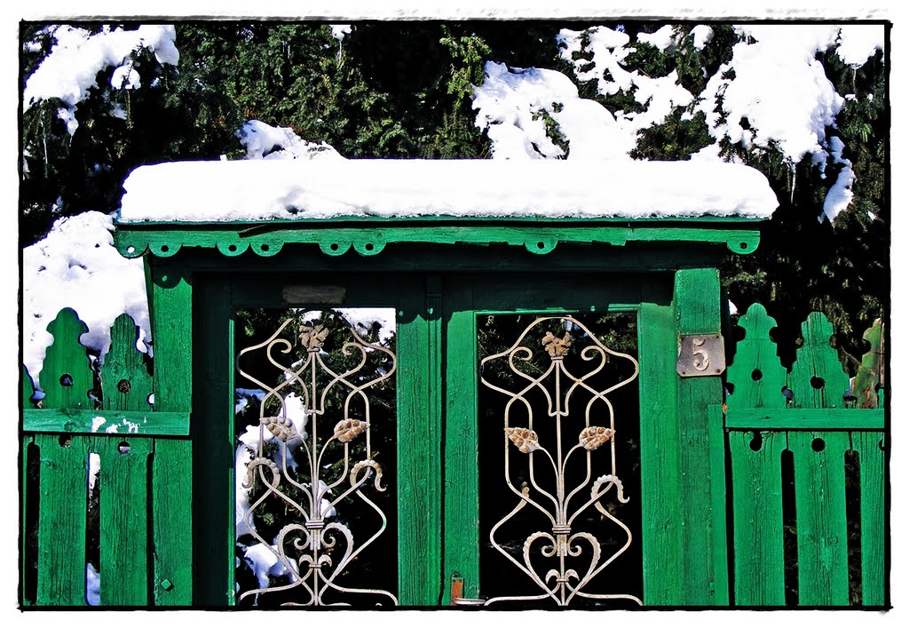 The Green Door