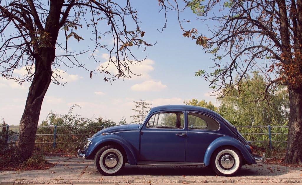 VW Beetle 01.10.11