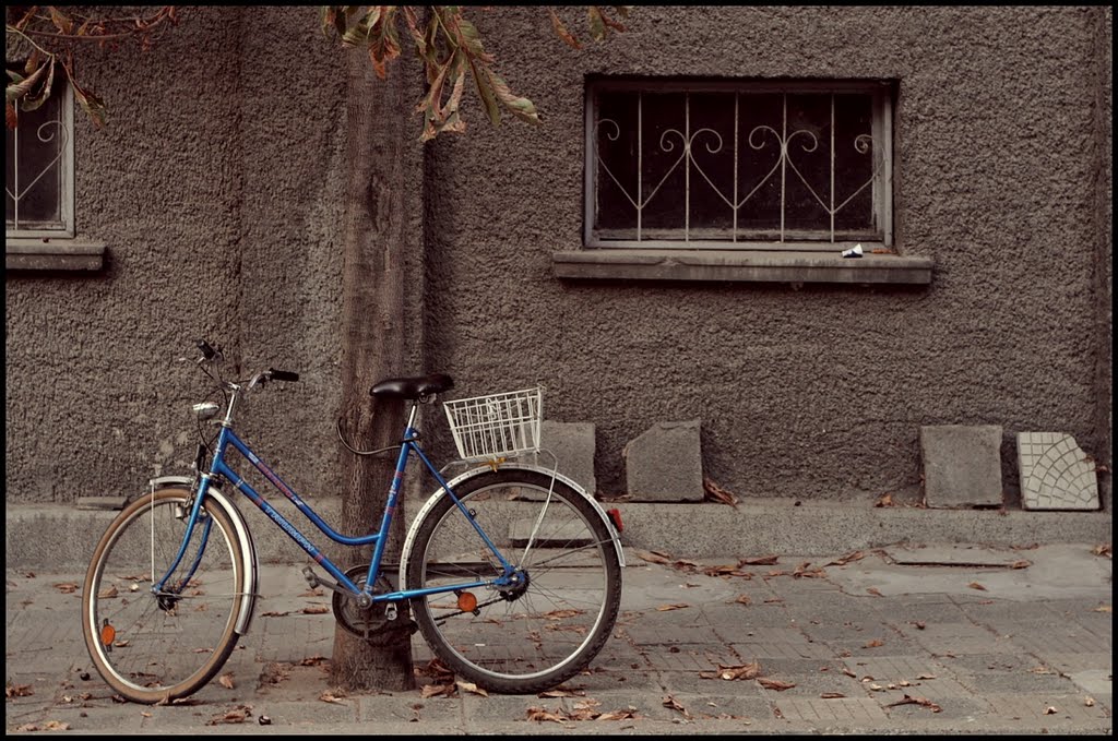 I want to ride my bicycle 01.10.11