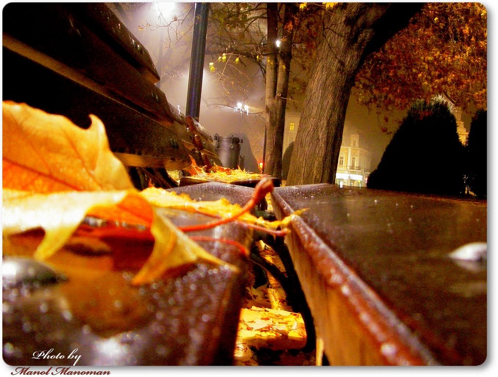 Rouse, autumn night