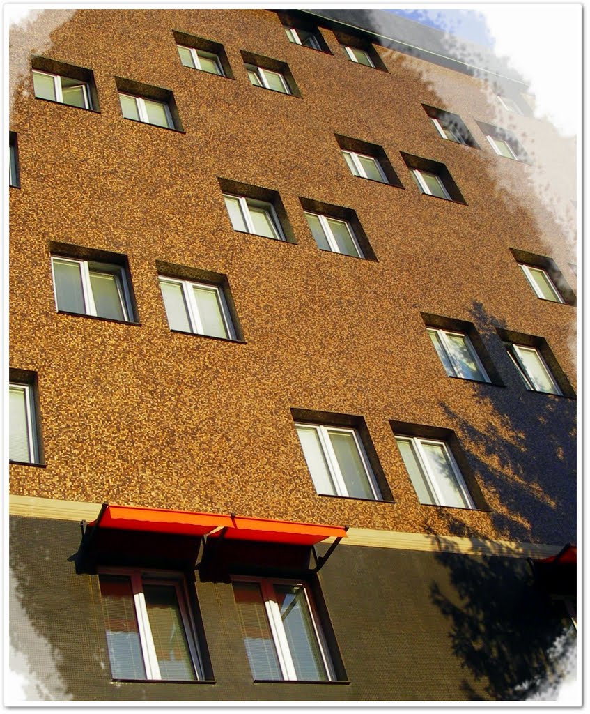 Rousse, building on Tulcha str.