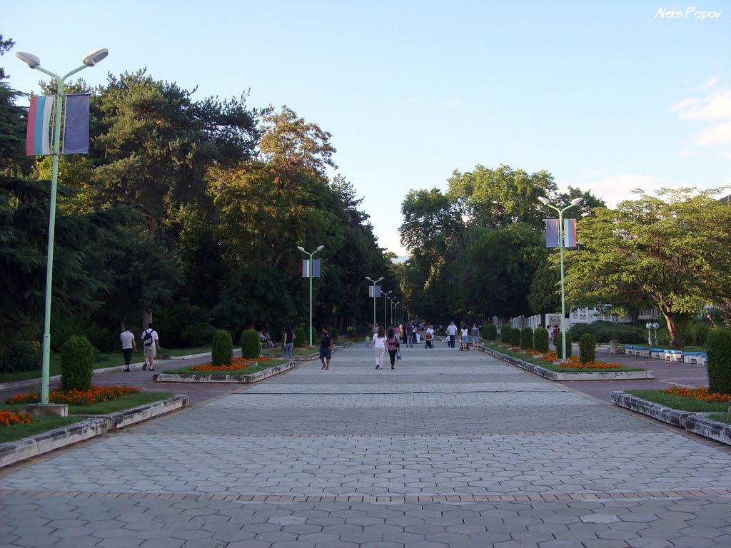 Bulgaria - Sandanski - Сандански - Парка