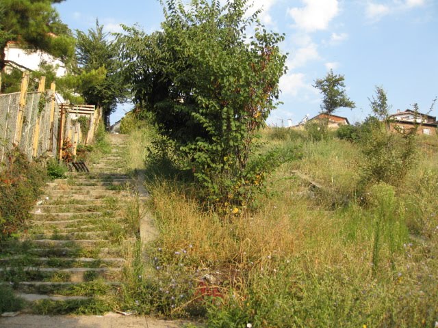 Strumyani