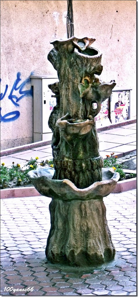 From Sandanski - A little fountain / Из Сандански - Малко фонтанче