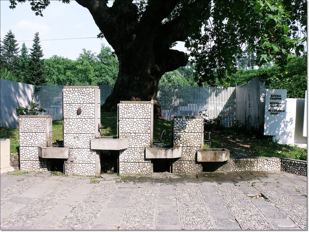 Drinking fountains / Чешми