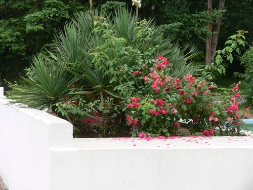 Sandanski Park