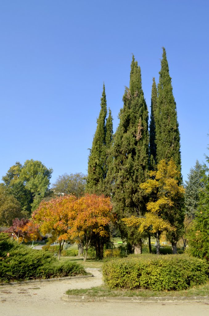 Паркът в Сандански / The park in Sandanski