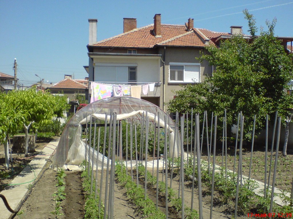 from Svilengrad