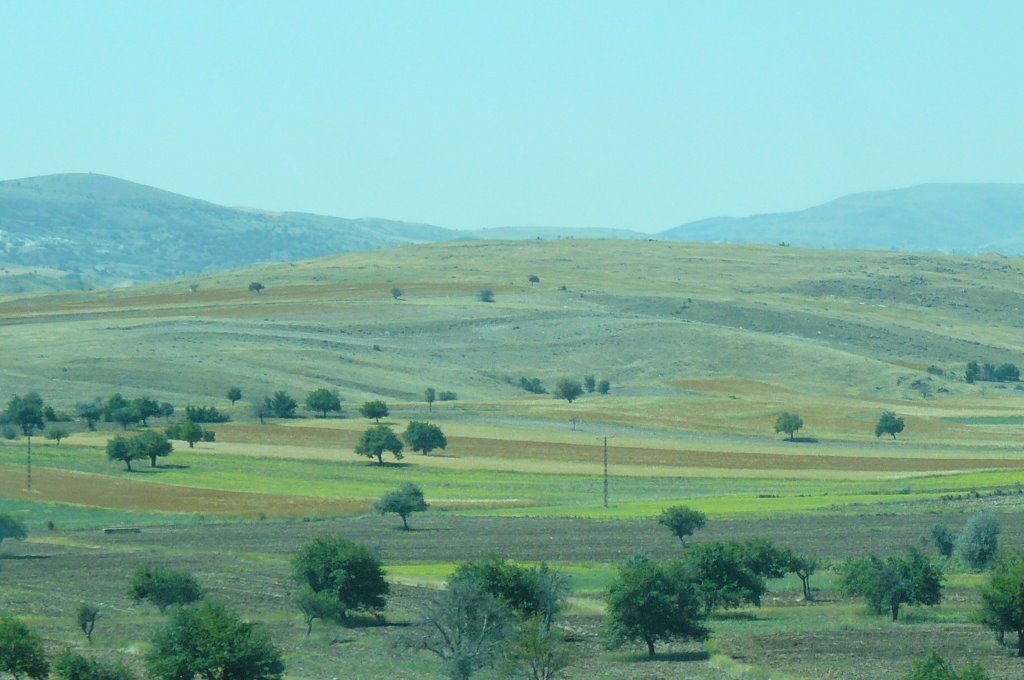 Bulgarien