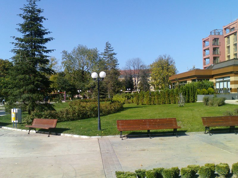Svilengrad City Park The benchs