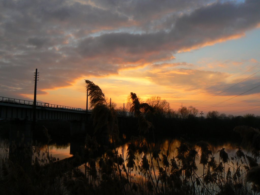 ЖП моста, Railroad bridge