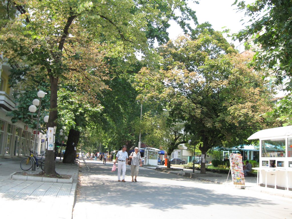 Главната
