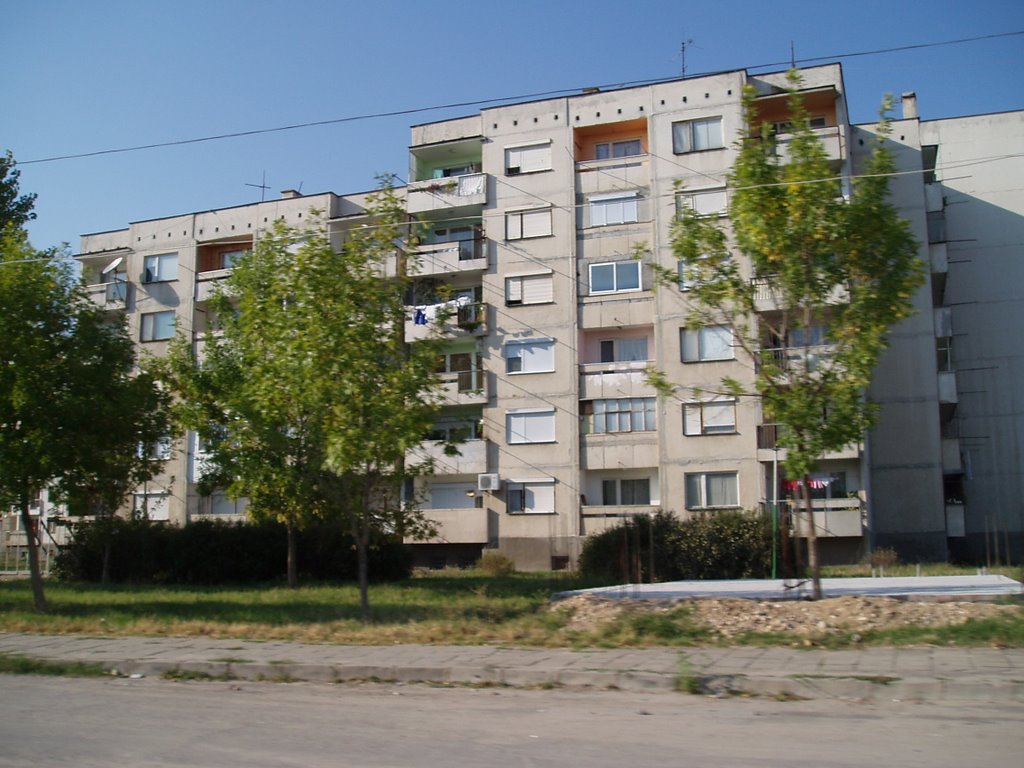 Svilengead