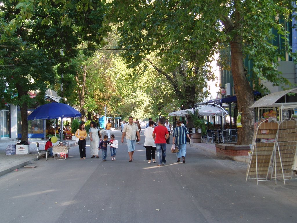 Svilengrad, Main Street