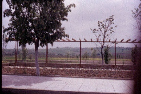 Svilengrad roadside cafe