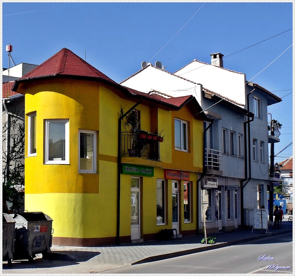 The yellow house / Жълтата  къща