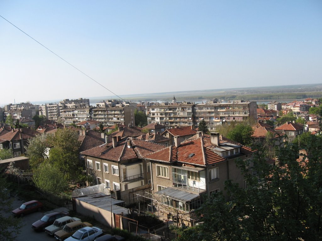 Svishtov View