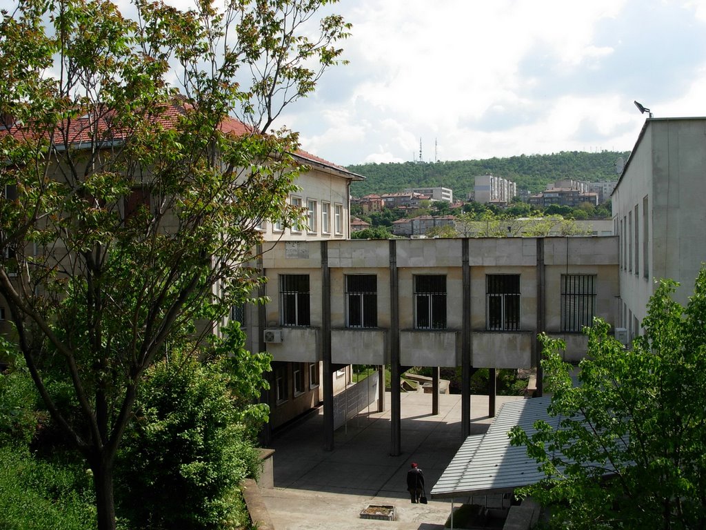 In Svishtov