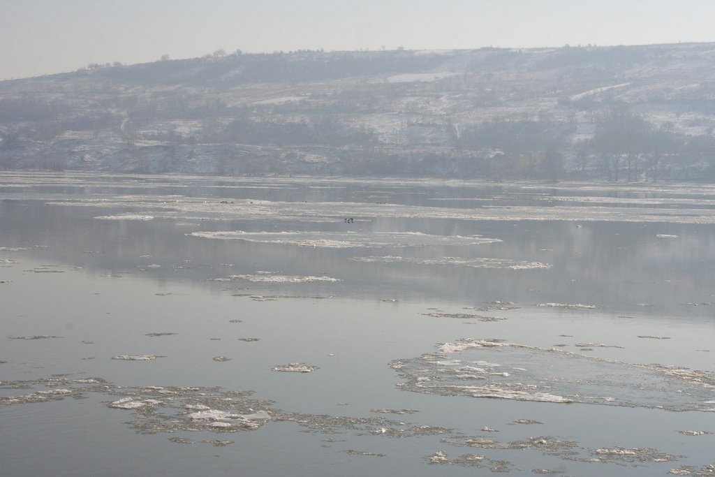 Frozen Danube 2