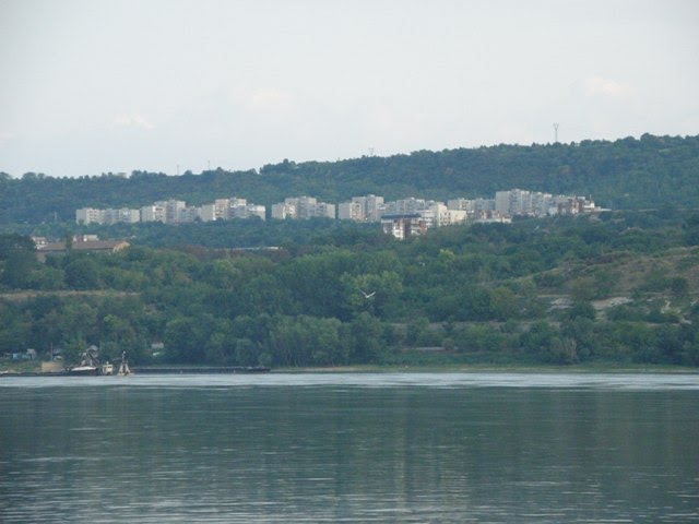 Dunărea şi Sviştovul