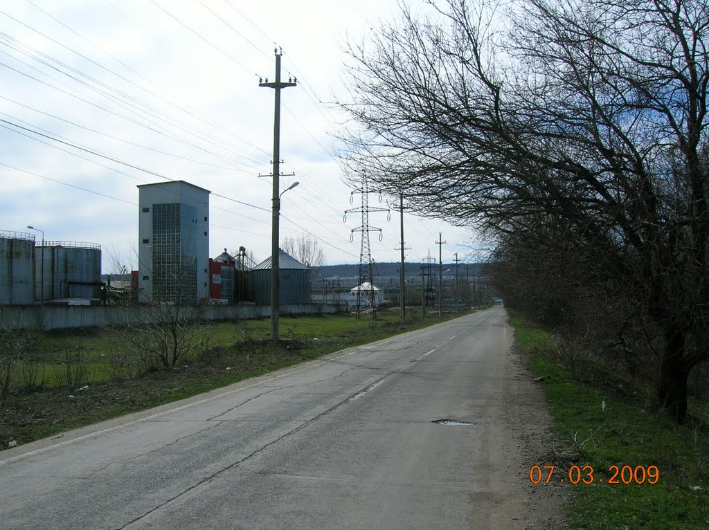 Between Zimnicea city and the riverport