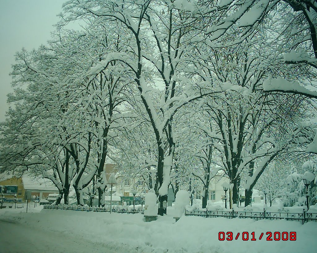 Svishtov