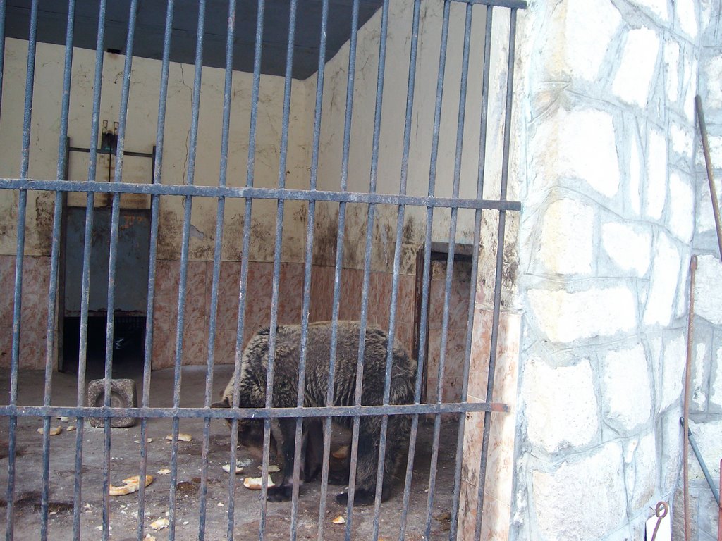 Зоологическа градина