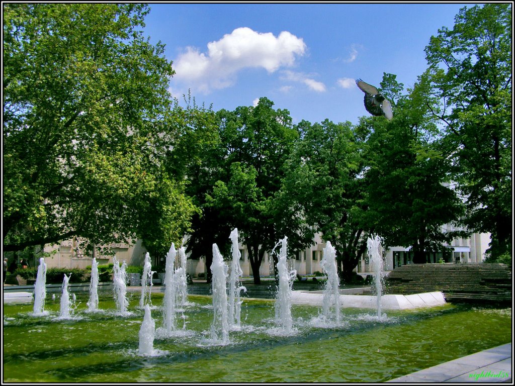 Haskovo - fountain