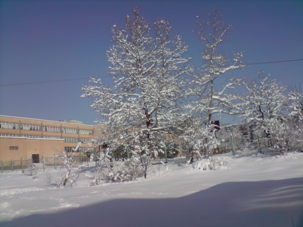 2010/02/09