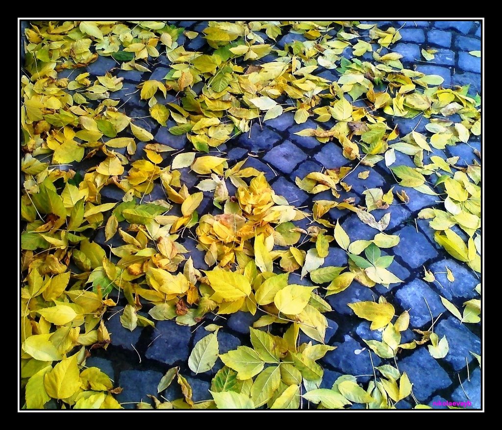 Есен на улица Гурко /  Autumn of  street  "Gurko"