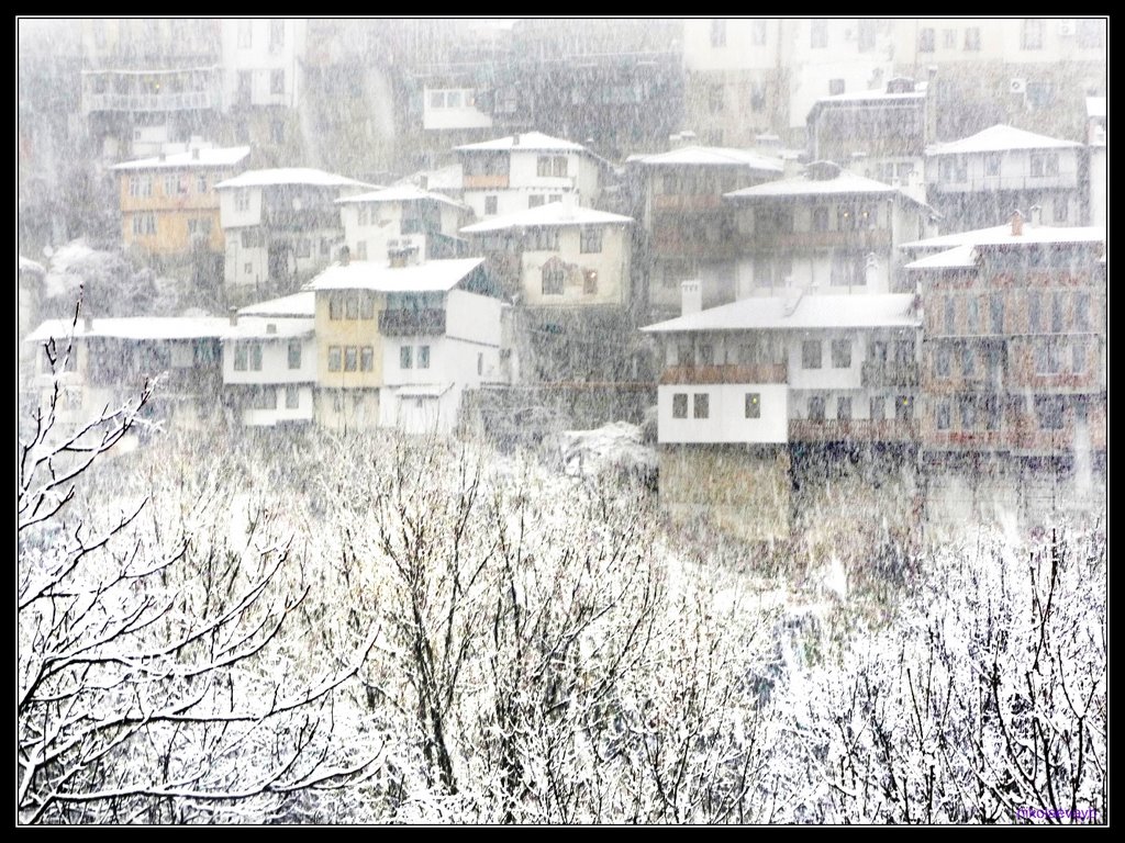 Сняг   /  Snow