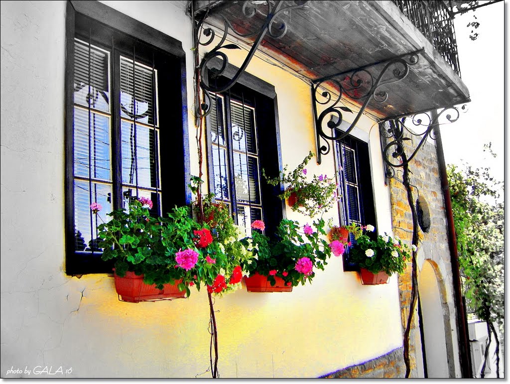 window   /   прозорецът