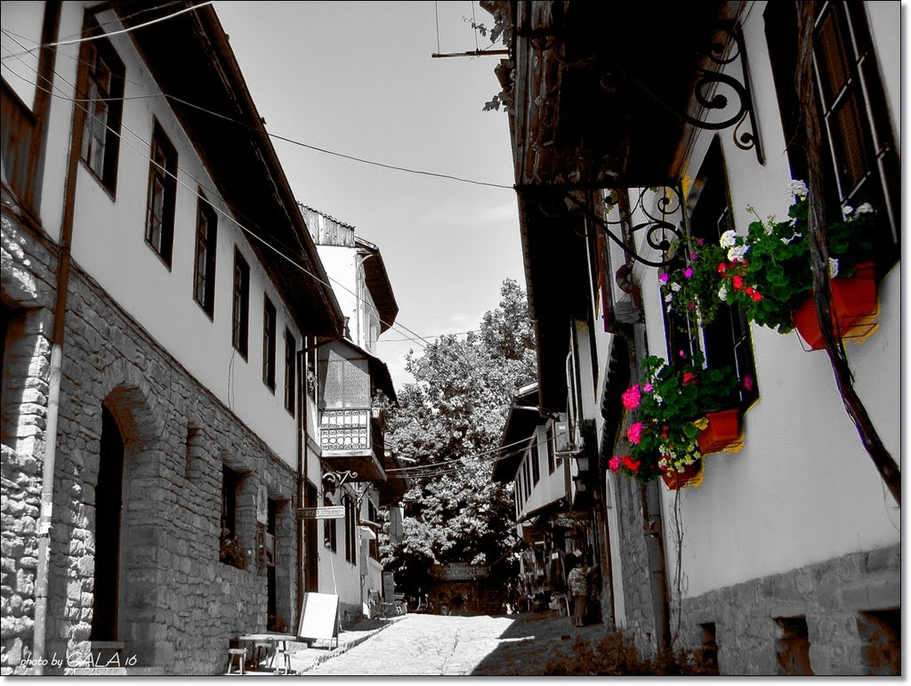 Veliko Tarnovo   /   Велико Търново