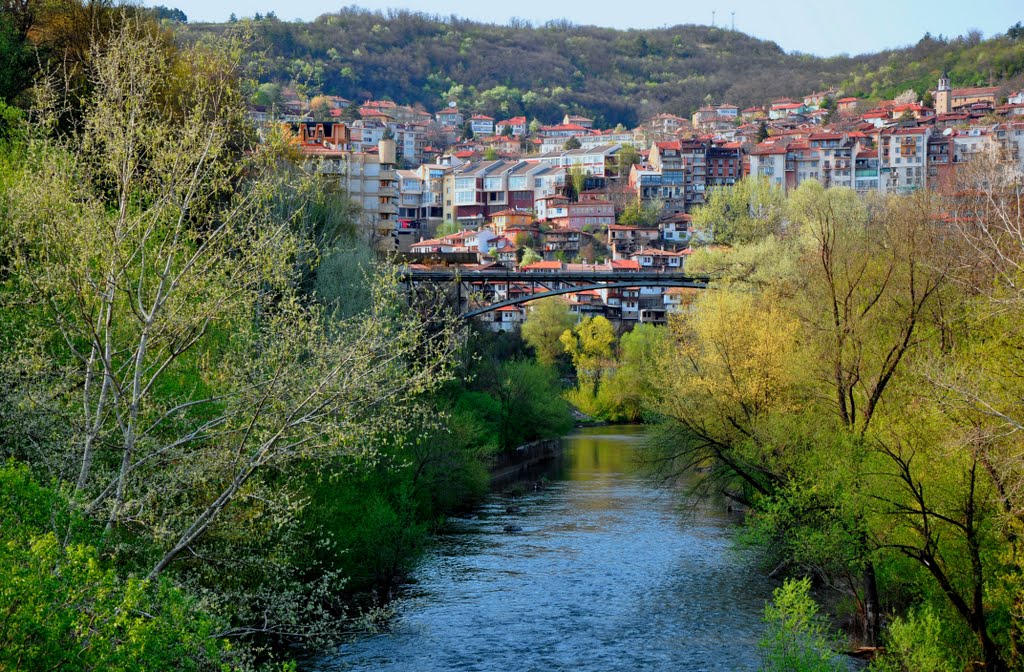 View from the Veliko Tarnovo city / Изглед от град Велико Търново / © by * Rosi *