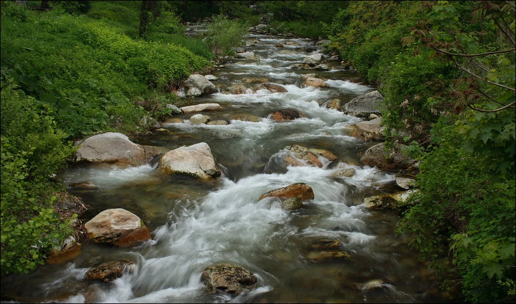 "Stara Reka" River 07.05.10