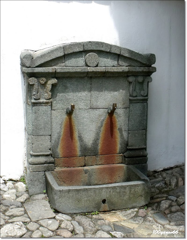 In the yard of a house-museum  of Vasil Levski / В двора на къща-музей  "Васил Левски"