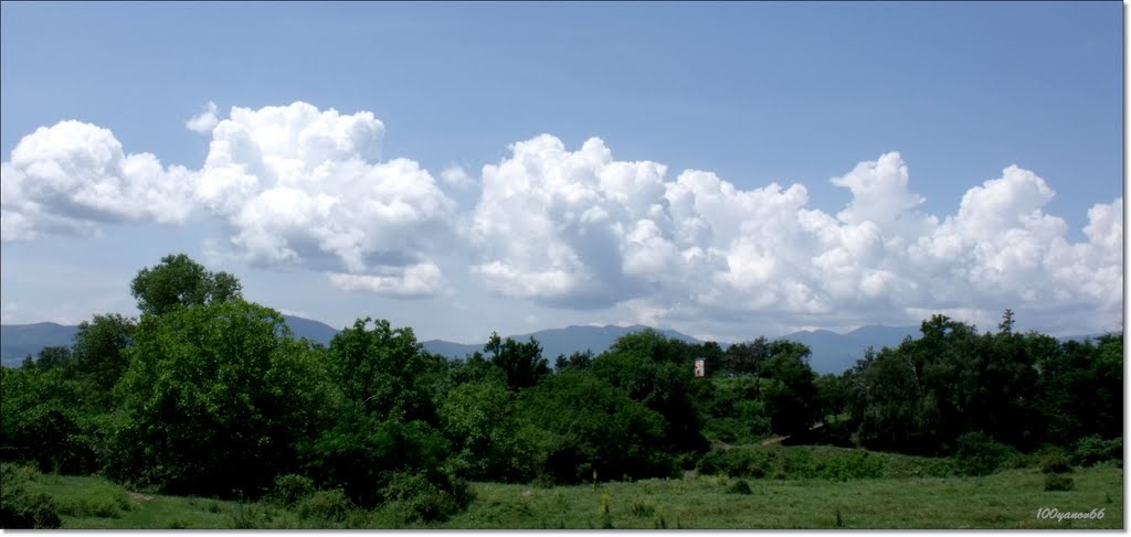 Look at Central forest / Поглед към Средна гора