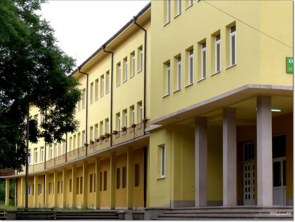 School "Vasil Levski" / Училище "Васил Левски"