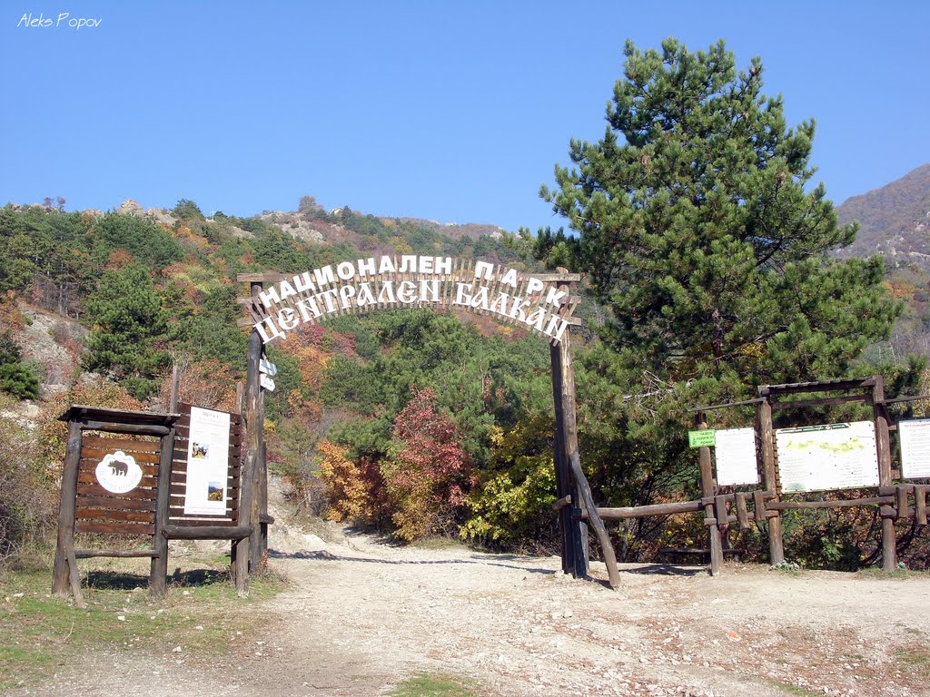 Bulgaria - Balkan Mountains - Central Balkan  - Стара Планина - Централен Балкан