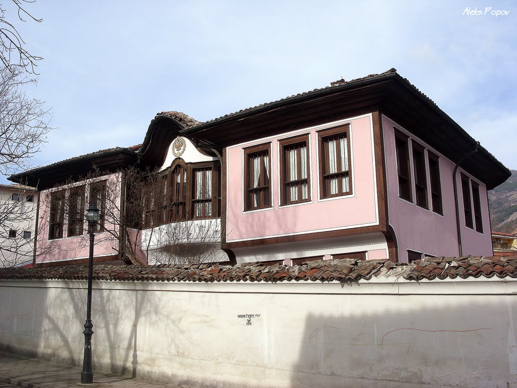 Hisarya