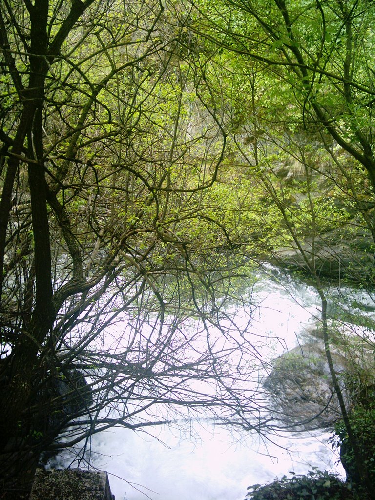 Bulgaria - Karloro - River - Карлово - Стара Река