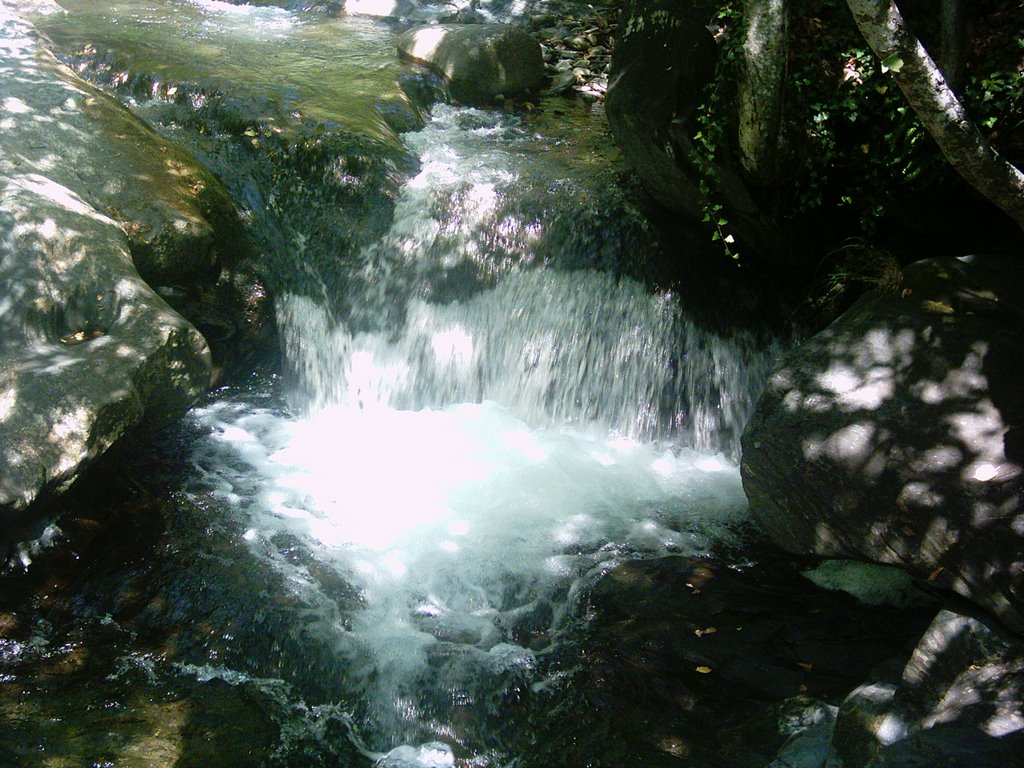 Bulgaria - Karloro - River - Карлово - Стара Река