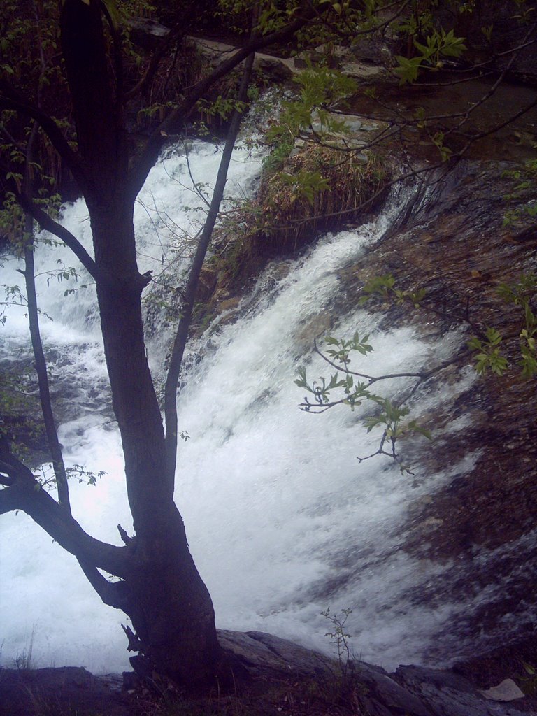 Bulgaria - Karlovo - River - Cascade  - Карлово - Стара Река - Малко водопадче