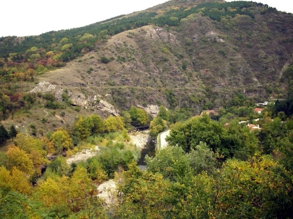 River Chaya